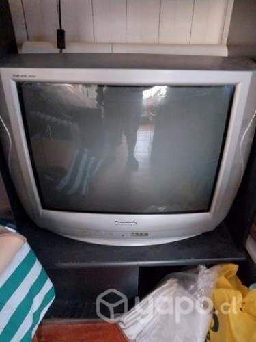 Tv 25" Panasonic buen estado