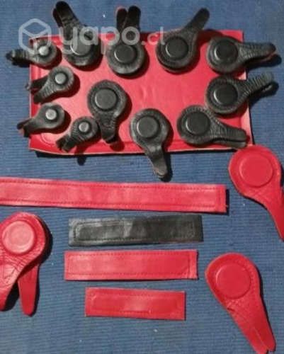 Imanes biomagnetismo