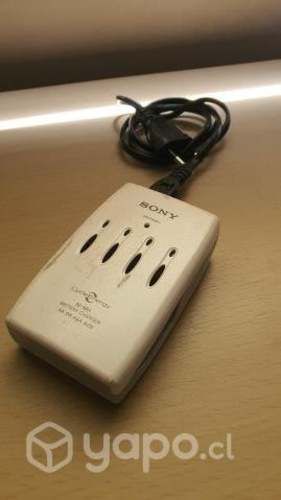 Cargador de pilas aa