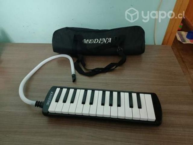 Melodica instrumento musical