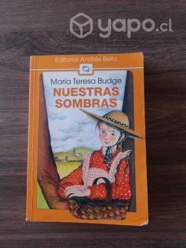 Libro Nuestras sombras María Teresa Budge