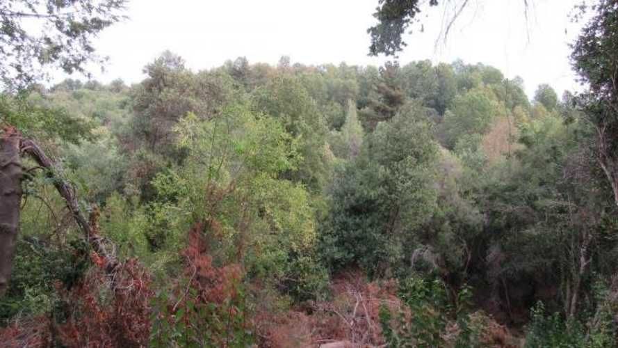 Parcela 5.5 has sector Vilches San Clemente