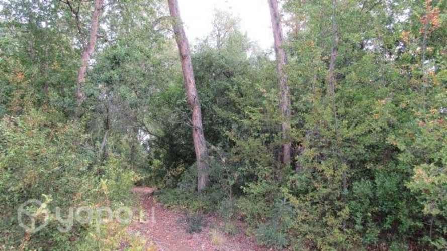 Parcela 5.5 has sector Vilches San Clemente