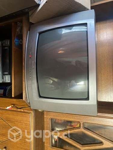 Televisor Philip 21"