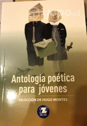 Antología poética para jóvenes/ Hugo Montes