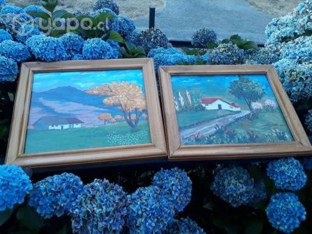 Cuadros de Lanigrafia