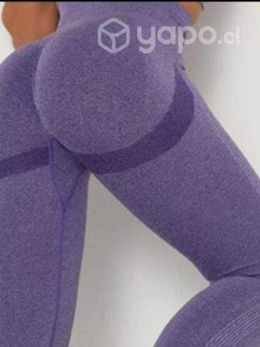 Calzas push up (levanta cola) control abdomen