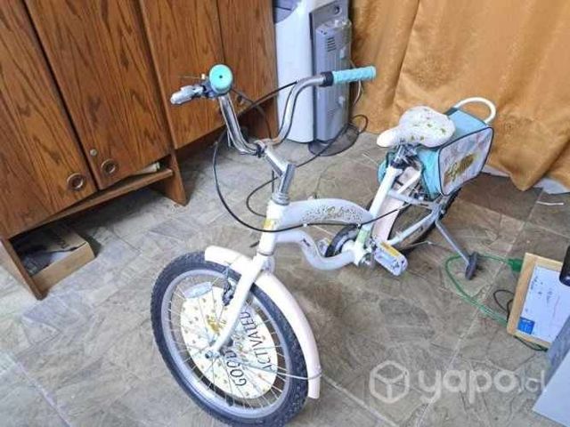 Bicicleta nueva