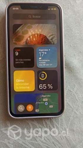 IPhone X por renovación