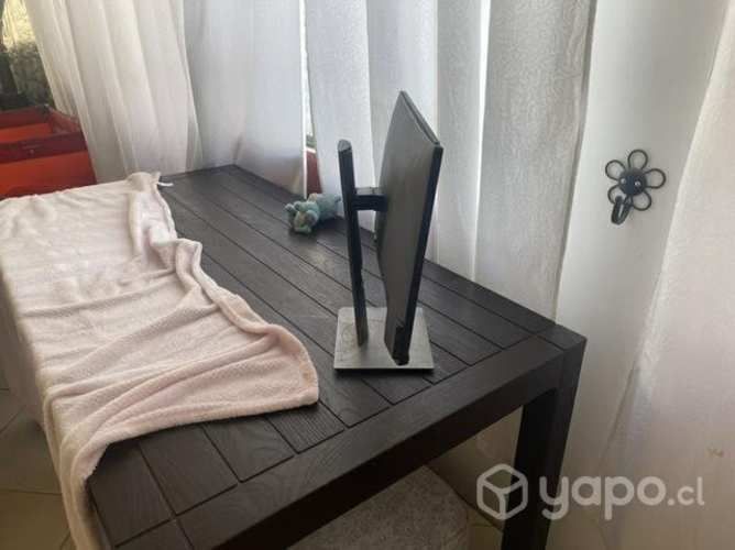 Monitor del P2219h (pantalla rota)