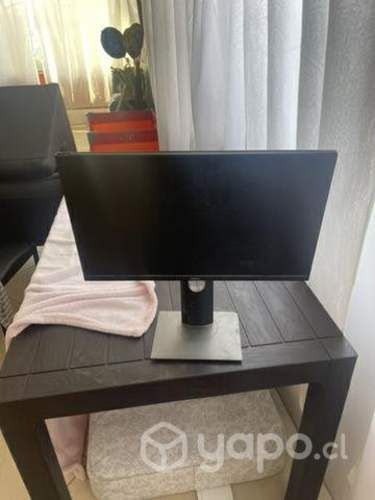 Monitor del P2219h (pantalla rota)