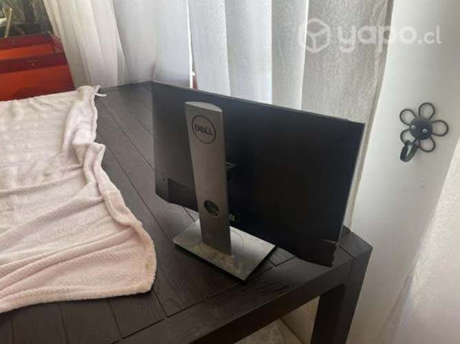 Monitor del P2219h (pantalla rota)