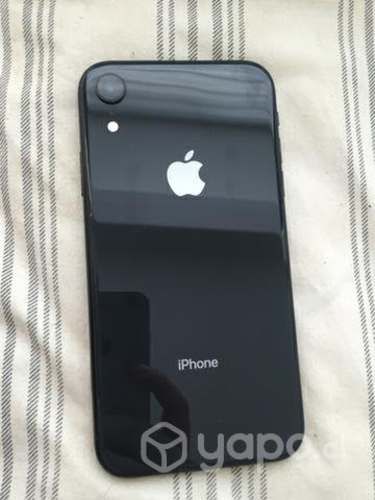 IPhone XR + 4 carcasas