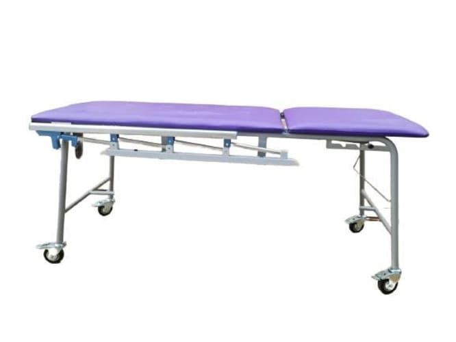 Camilla Examen Barandas Retractil y Ruedas