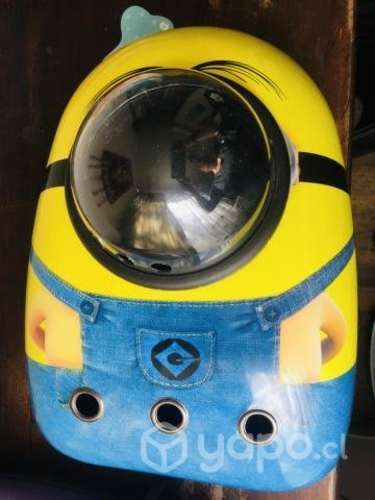 Mochilas para gatitos, nuevas