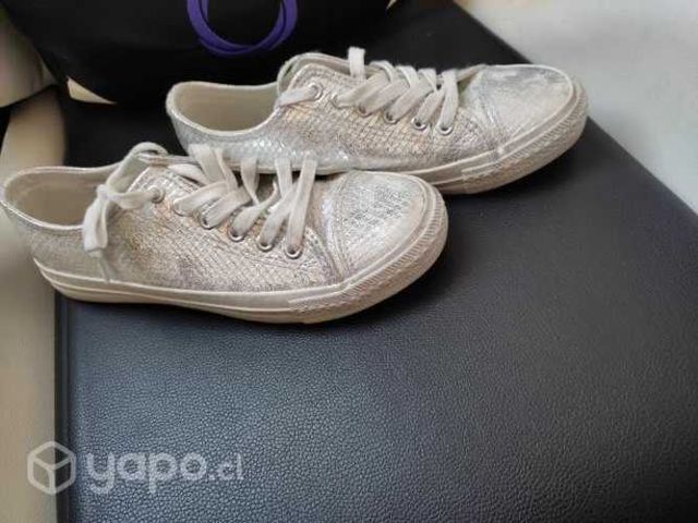Zapatillas skater plateada