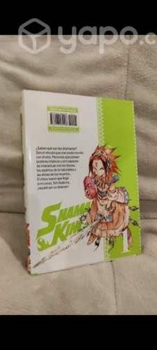 Shaman King