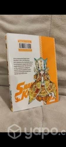 Shaman King