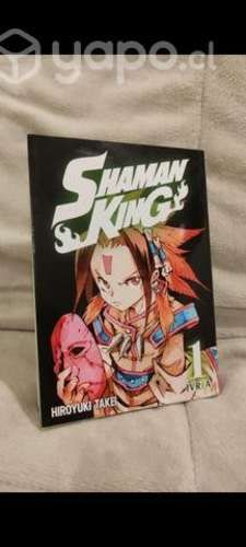 Shaman King