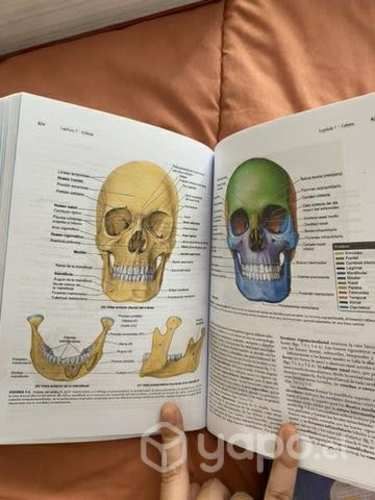 Libros anatomia de moore a color