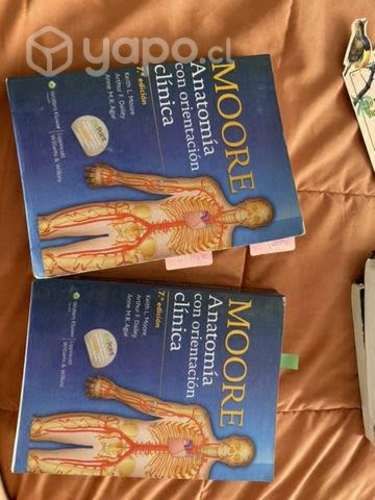 Libros anatomia de moore a color