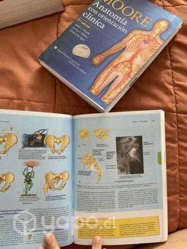 Libros anatomia de moore a color