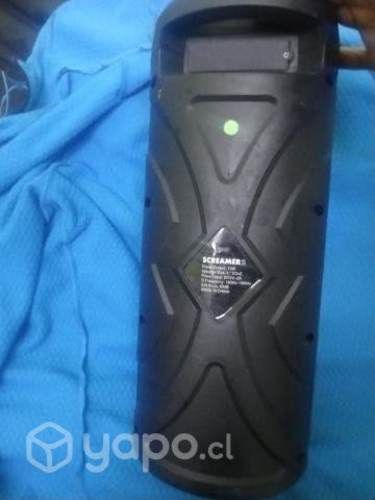 Parlante Bluetooth karaoke