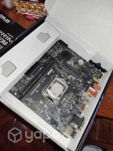 Placa H310M PRO-VDH PLUS + I3-9100