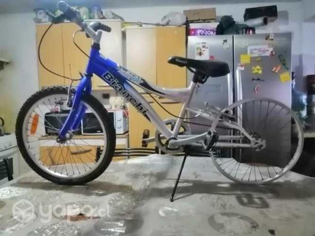 Bicicleta