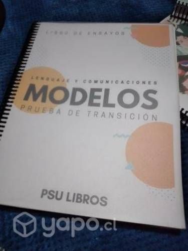 Libros de ensayos psu, pdt, paes