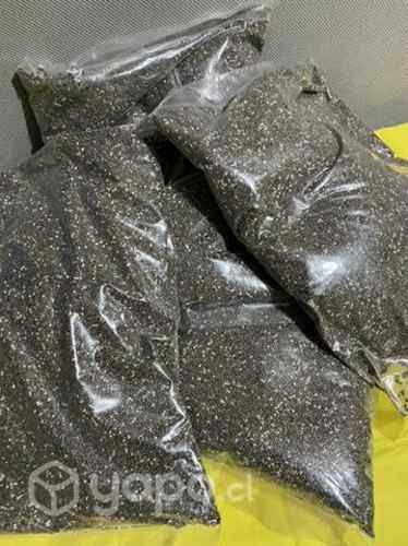 Semillas chia
