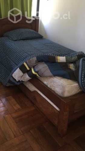 Cubrecama tipo plumón