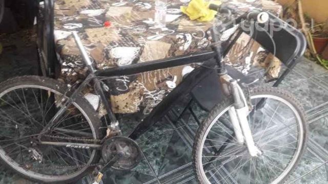 Bicicleta Fratta Viper