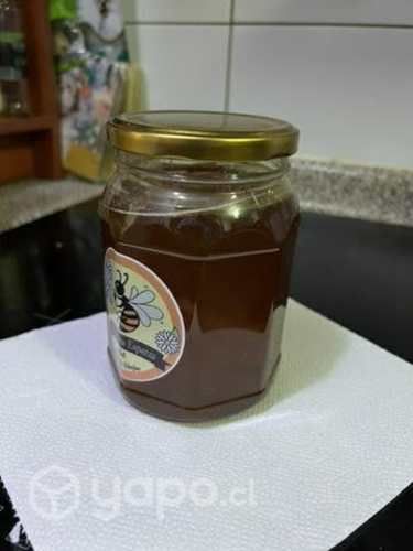 Miel de abejas, 100% pura, rica y natural