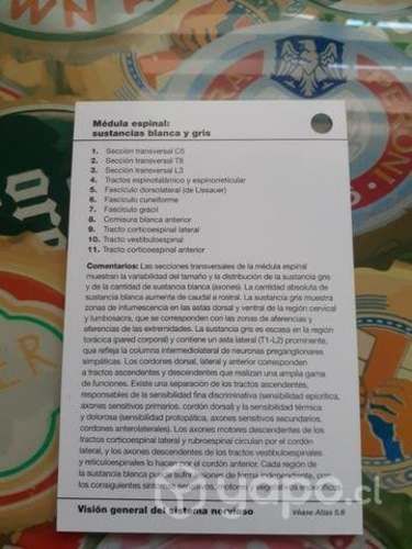 Netter Flashcards de Neurociencia 3ra ed. Usadas