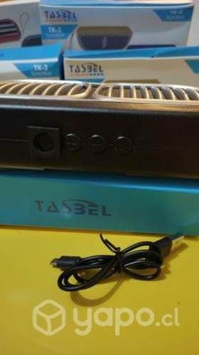 Parlante con linterna