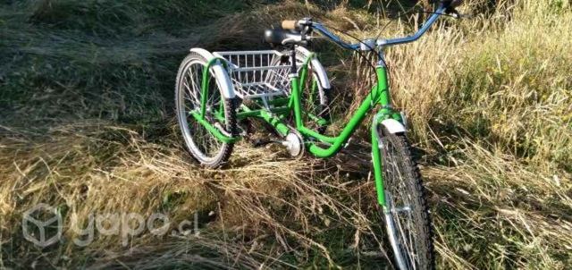 Bicicletas de 3 ruedas