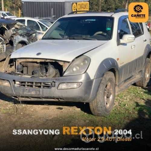 Múltiple escape Ssangyong Rexton 2004