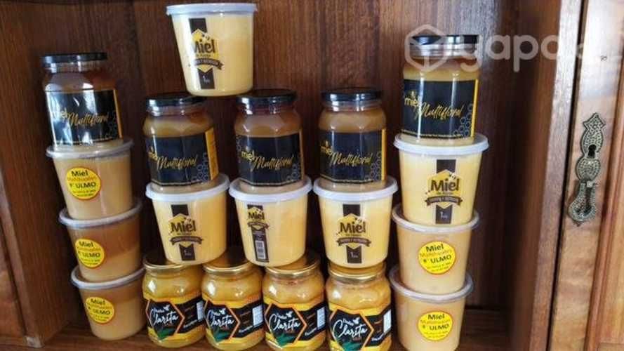 Miel de abeja multifloral