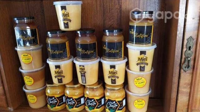 Miel de abeja multifloral