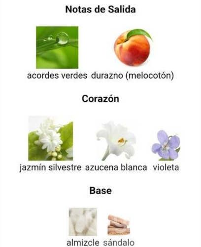 Perfume Jasmin Secret