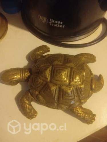 Tortuga de bronce