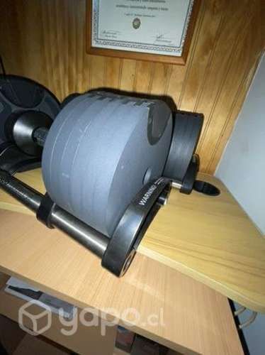 Mancuernas Ajustables