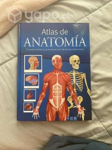 Atlas de anatomía