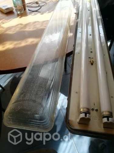 Equipo Floreciente completo