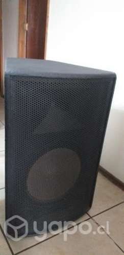 Parlantes pasivos de 15 y 18 para música en vivo