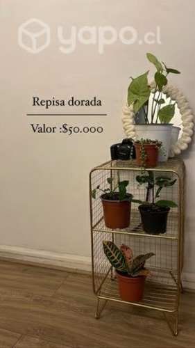 Estante Repisa