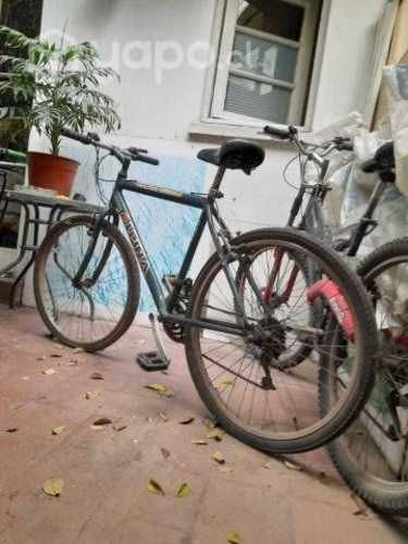 Bicicleta Alpina Verde