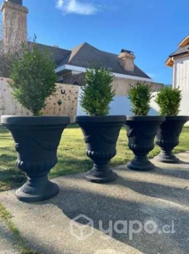 Copón estilo Francés Macetero"