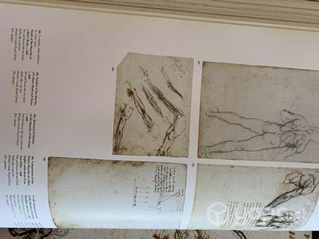 Da Vinci. Obra pictórica completa